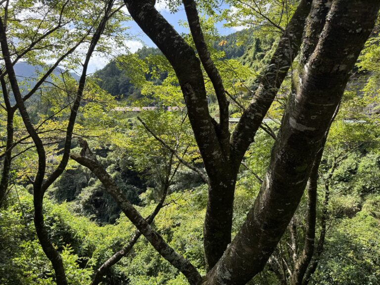 Conquer the “Roof of Shikoku” on an immersive 3-day mountain trek through Tokushima’s mystical peaks and hidden river valleys