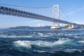 6-Day Cultural Highlights Tour of Tokushima, Kochi, and Kagawa