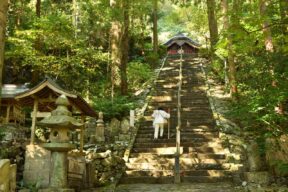 7-Day Cultural Heritage Tour of Tokushima, Kochi, and Kagawa