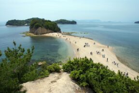 6-Day Nature Discovery Tour of Tokushima and Kagawa